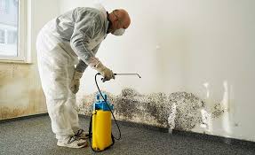 Trusted Elkhart, TX Mold Inspection Experts