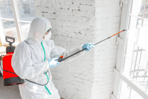 Best Emergency Mold Remediation  in Elkhart, TX