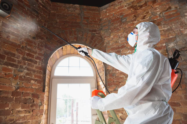 Best Commercial Mold Inspection  in Elkhart, TX