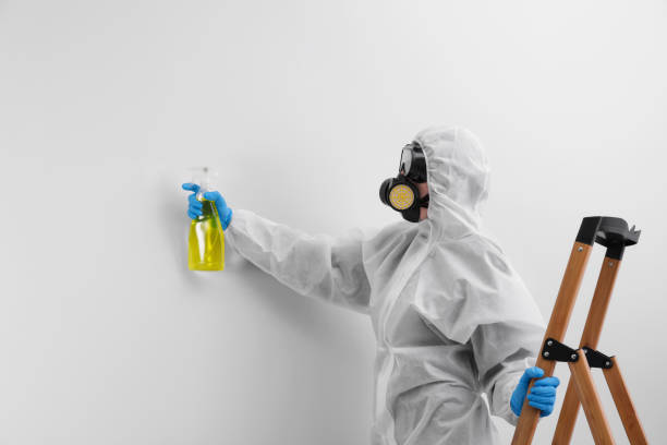 Why You Should Choose Our Mold Remediation Services in Elkhart, TX